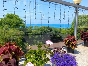 Гостевой дом Villa Soho Sochi Russia