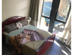 Апартаменты Уютная квартира в Самом Центре Кисловодска