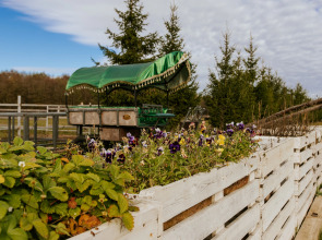 База отдыха Агротуристический комплекс Эль Ранчо