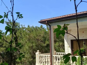 Гостевой дом Славянская Ладья