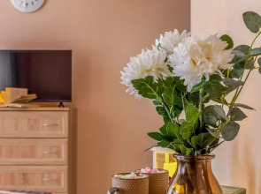 Апартаменты у метро Балтийская