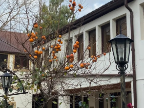 Отель Андалусия