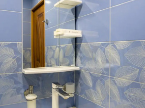 Апартаменты  4-комнатные в Амалиенау, Zoya-Apart