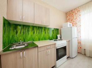 Квартира двухкомнатная на Алексеева 99