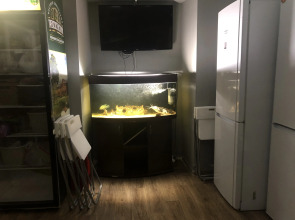 Хостел Олимпия