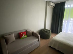 Svetlaya Studiya V Zhk Novy Svet Flat