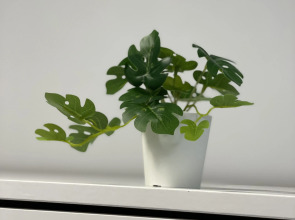 Апартаменты Квартирка ХМ на Рознина 104а