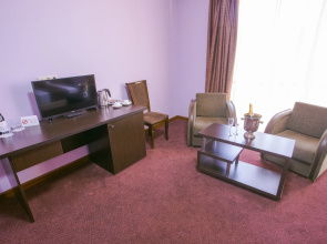 Отель Ani Central Inn