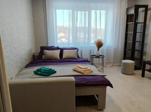 Квартира 1 комнатная  Квартира рядом с парком Швейцария