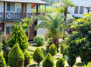 Alashara Guest House
