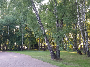 Апартаменты у Балтийского моря в Светлогорске