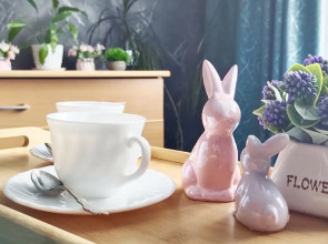 Квартира у аэропорта