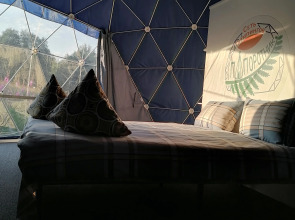 Глэмпинг Папоротник