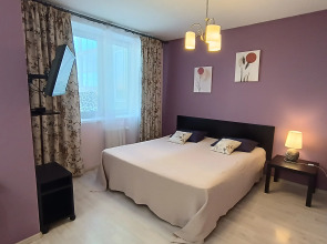 Апартаменты Библиотечная 45 #1