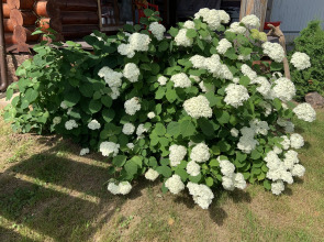 Гостевой дом Глаз орла