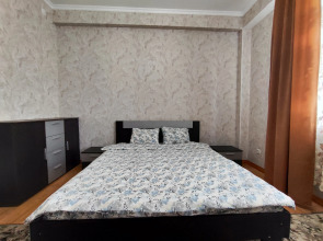 Апартаменты просторные двухкомнатные в центре Бишкека