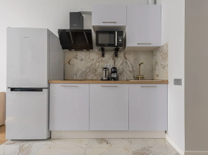 Апартаменты Дизайнерские с кухней гостиной