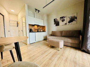 Апартаменты Семейные с красивым видом недалеко от парка Галицкого 1