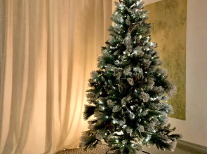 Квартира Архитектора