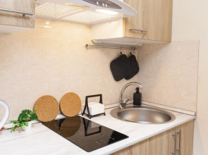 Апартаменты Arctic Natura Apartment