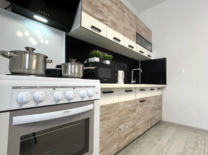 Апартаменты FSF Уютная Евродвушка в Цветах Башкирии (Мега, М5, аэропорт)