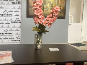 Мини-отель Подснежник