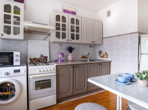 Квартира ПосуткаРу Краснознам 59 ТЦ Вершина Плаза и Центральный стадион