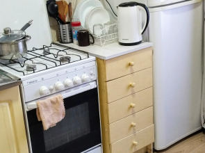 Квартира  в центре Новомосковска