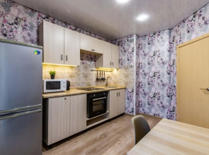 Апартаменты Миасская DreamHouse 1