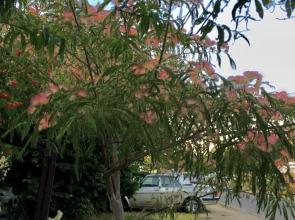 Гостевой Дом Татьяна