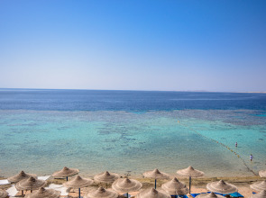 Курортный Отель Dive Inn