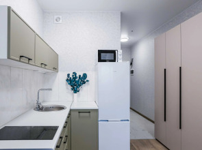 Апартаменты Студия в М1 Сколково