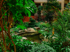 Отель Grand Samarkand Superior - B