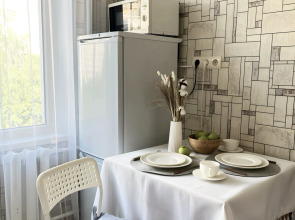 Апартаменты Ельнинская 18/1