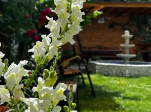 Отель Kavo-de-Bukso