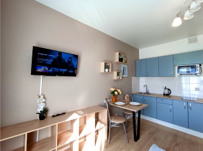Апартаменты New Studio na Larushina 6/2