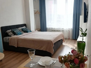Na Nekrasova 33 Flat