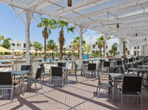 Amphoras Aqua Adults Friendly