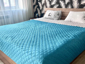 Апартаменты Под Крышей в Центре