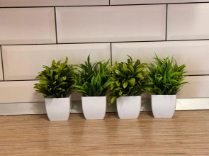 Квартира Толстого 180б 2 Этаж