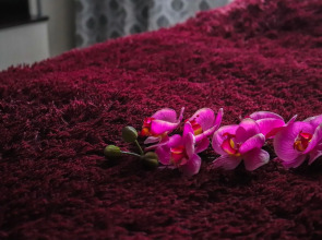 Апартаменты Недалеко от Парка