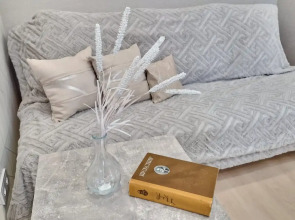 Квартира Тургенева 25/1