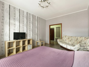 Апартаменты Freedom on Shamshinykh