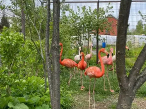 Квартира возле зоопарка 2