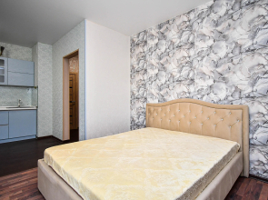 Na Alekseeva 46 (3) Apartments