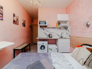 Апартаменты Автозаводская 19к1 (230)