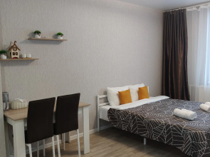 Prostornaya Studiya Ryadom S Aeroportom Flat