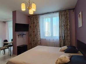 Апартаменты Библиотечная 45 #1