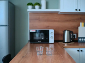 Апартаменты Eco studio