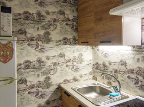 Квартира на Леселидзе 10